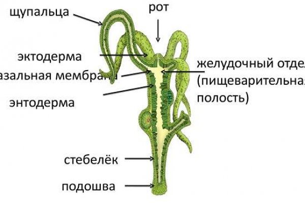 Новый сайт blacksprut bs2web top